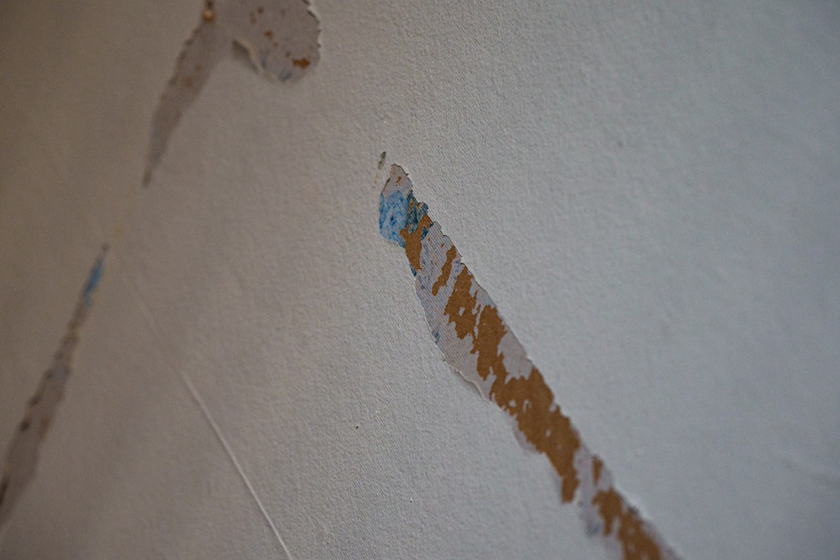 Mold Remediation service in Redlands, CA